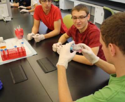 Students in biology lab